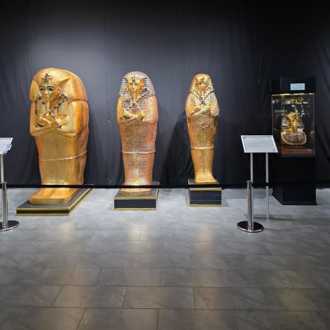 Group-1000001518-1-min-1